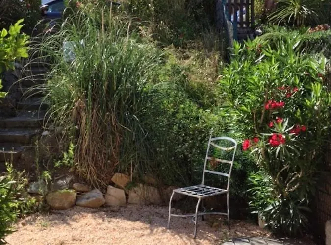 Maison D'une Avec Vue Sur La Piscine Partagee Et Jardin Clos A A 4 Km De La Cogolin